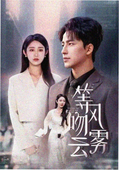 h视频在线看刑侦剧回声档案